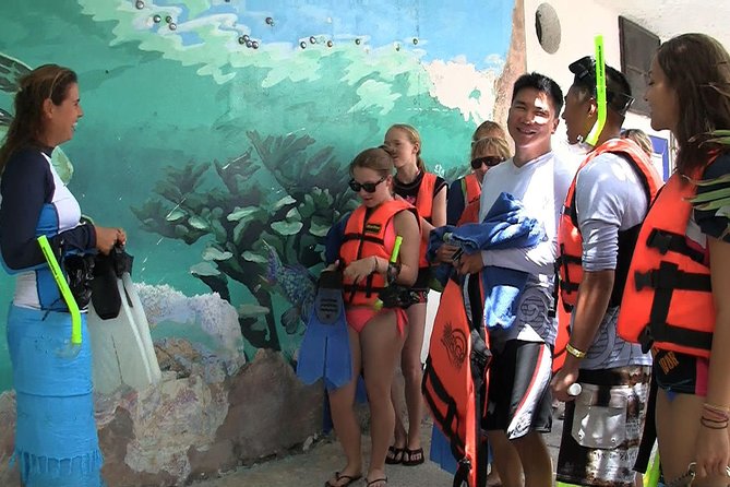 Akumal Sea Turtle Snorkel Experience From Playa Del Carmen - Cancun - Tour Details