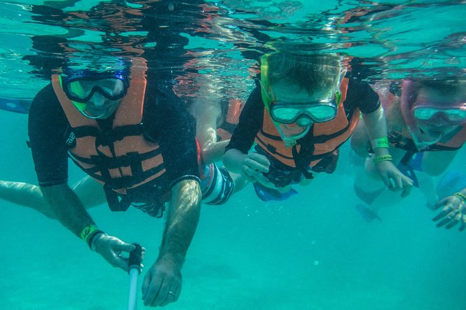 Akumal Sea Turtle Snorkel Experience From Playa Del Carmen - Cancun - Snorkeling With Sea Turtles