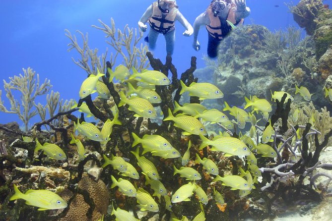 Akumal Sea Turtle Snorkel Experience From Playa Del Carmen - Cancun - Visiting the Cenote