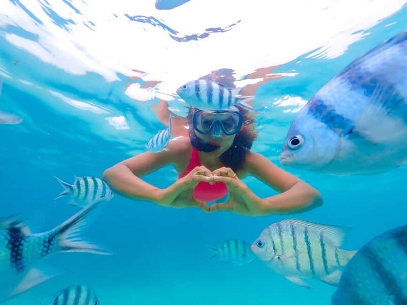 Akumal: Snorkeling Adventure with Turtles and Marine Life - Authentic Marine Encounters & Conservation Focus