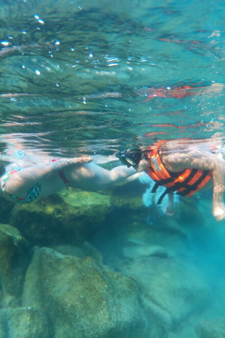 Akumal: Snorkeling and Boat Ride Experience - Boat Ride Experience