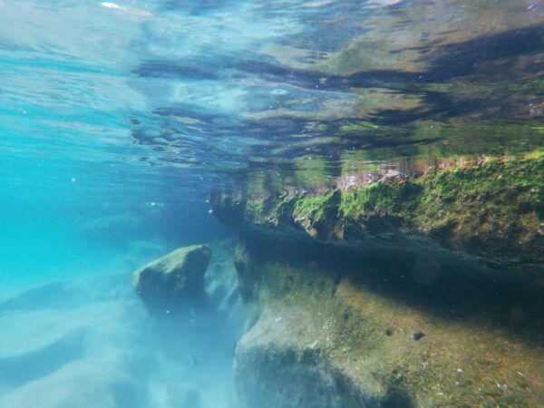 Akumal: Snorkeling and Boat Ride Experience - Preparation Tips