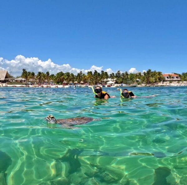 Akumal; Snorkeling and Photos With Turtles - Preparing for the Tour