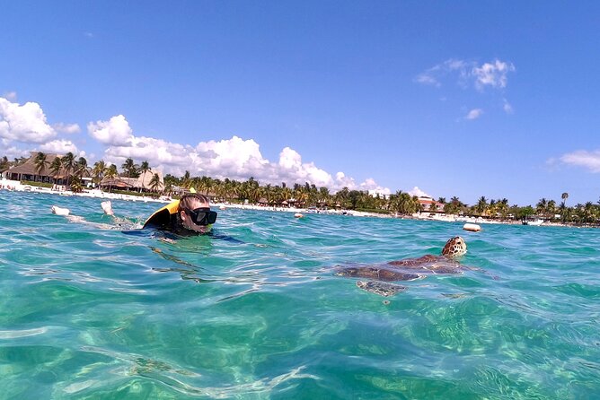 Akumal; Snorkeling and Photos With Turtles - Directions and Meeting Point Location