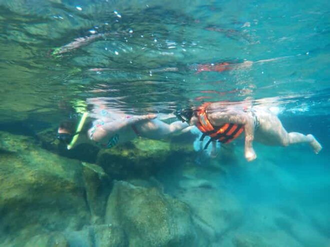 Akumal: Snorkeling Lessons - Experience Highlights