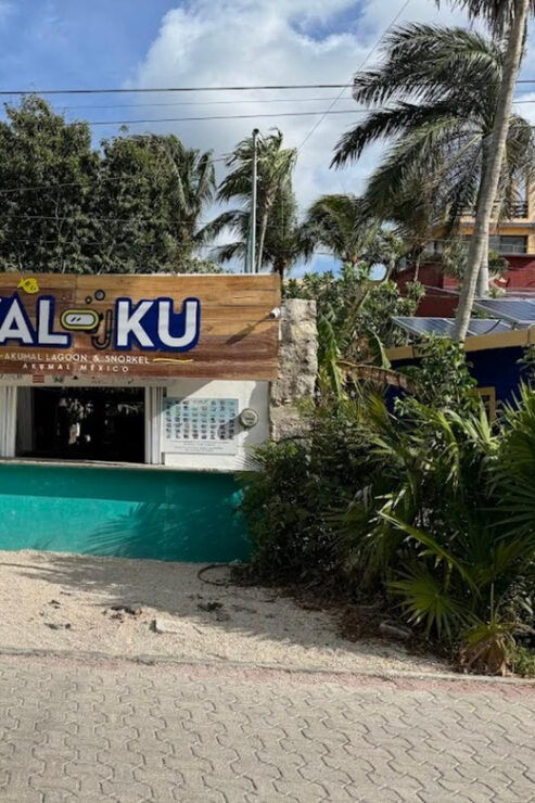Akumal Snorkeling Muuch Kay Ecopark - Vibrant Marine Life