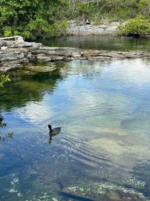 Akumal Snorkeling Muuch Kay Ecopark - Environmental Consciousness