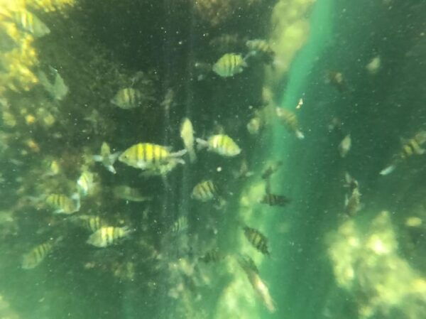 Akumal Snorkeling Muuch Kay Ecopark - Frequently Asked Questions