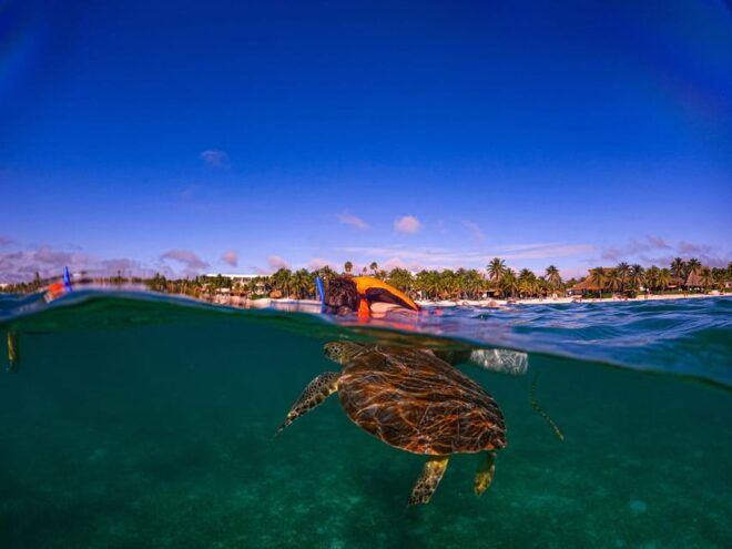 Akumal: Snorkeling With Local Guides and Gopro Photos - Included Equipment and Gear