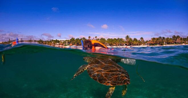 Akumal: Snorkeling With Local Guides and Gopro Photos - Protected Beach Access