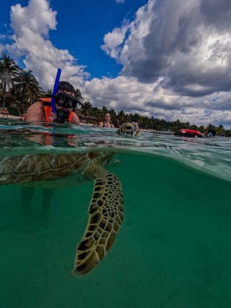 Akumal: Snorkeling With Local Guides and Gopro Photos - Transportation Options
