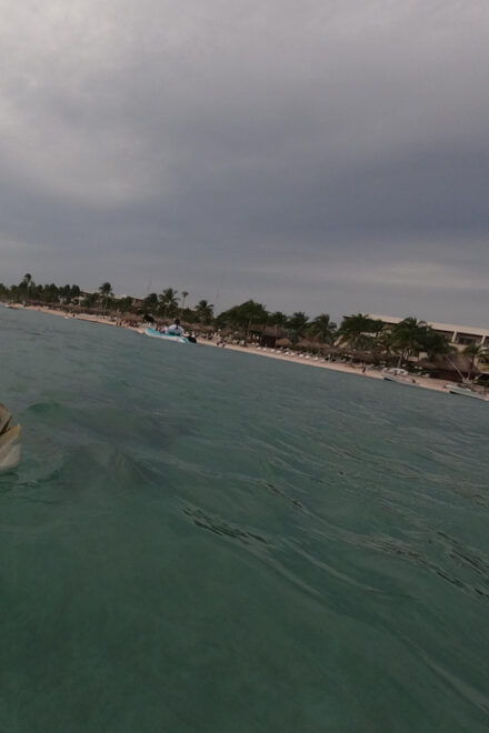 Akumal: Snorkeling With Sea Turtles in Private - Pricing and Booking Information