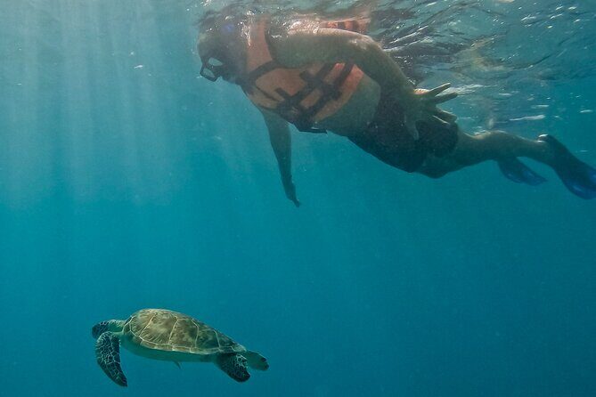 Akumal Snorkeling With Turtles - Final Thoughts: Is This Tour Worth It?