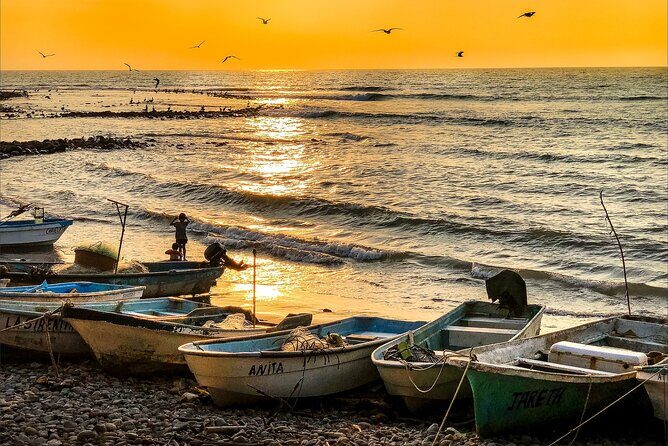 Akumal to Cancun - Private Transfer with Optional Sightseeing - Introduction