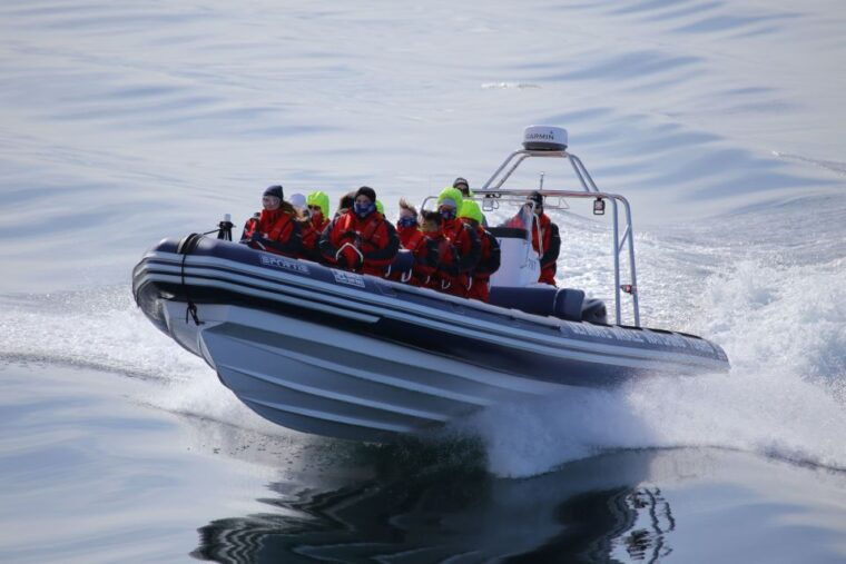 Akureyri: 2-Hour Whale Watching Express by RIB Speedboat - Who Should Consider This Tour?
