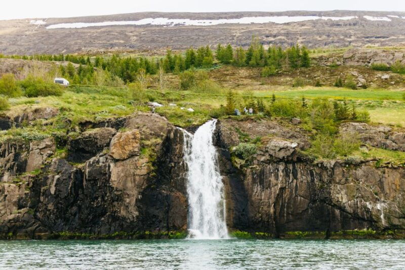 Akureyri: 3-Hour Classic Whale Watching Tour by Ship - Who Should Consider This Tour?