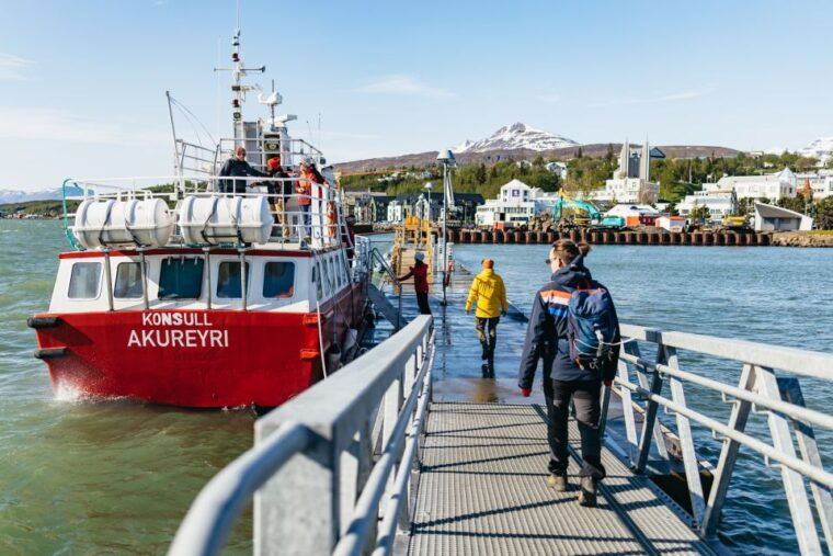 Akureyri: 3-Hour Classic Whale Watching Tour by Ship - Final Thoughts