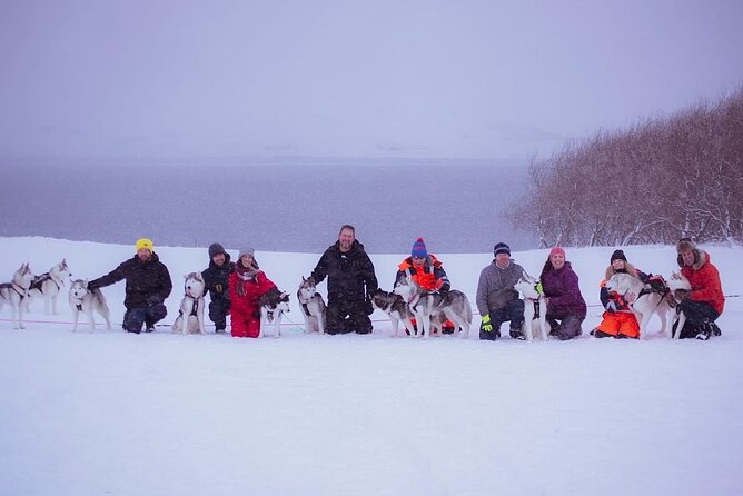 Akureyri Dog Sledding Private Experience - Experience Details