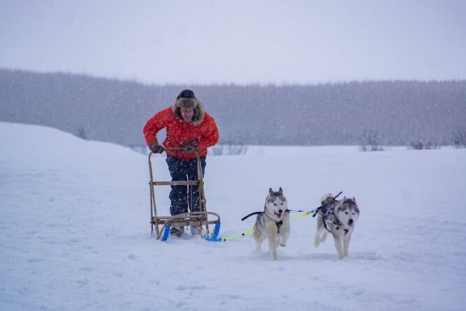 Akureyri Dog Sledding Private Experience - Meeting and Pickup