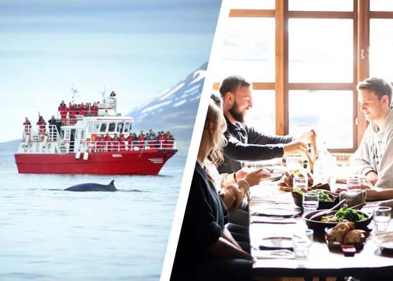Akureyri: Food Walk and Whale Watching Tour - Logistics and Practical Details