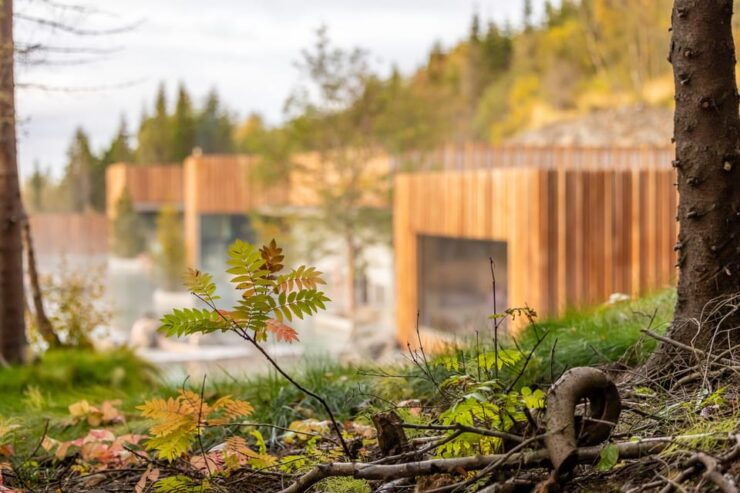 Akureyri: Forest Lagoon Entrance Ticket - Good To Know