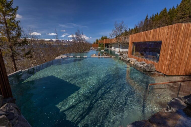 Akureyri: Forest Lagoon & Northern Lights Tour - Final Thoughts