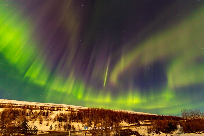 Akureyri Northern Light Tour - Traveler Photos