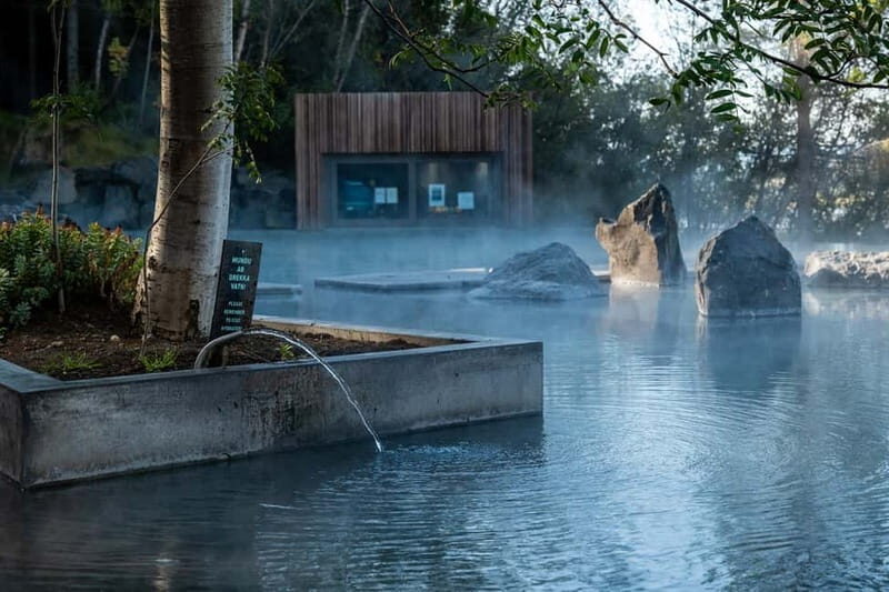 Akureyri: Northern Lights Hunt with Forest Lagoon Entry - Akureyri: Northern Lights Hunt with Forest Lagoon Entry — A Complete Guide