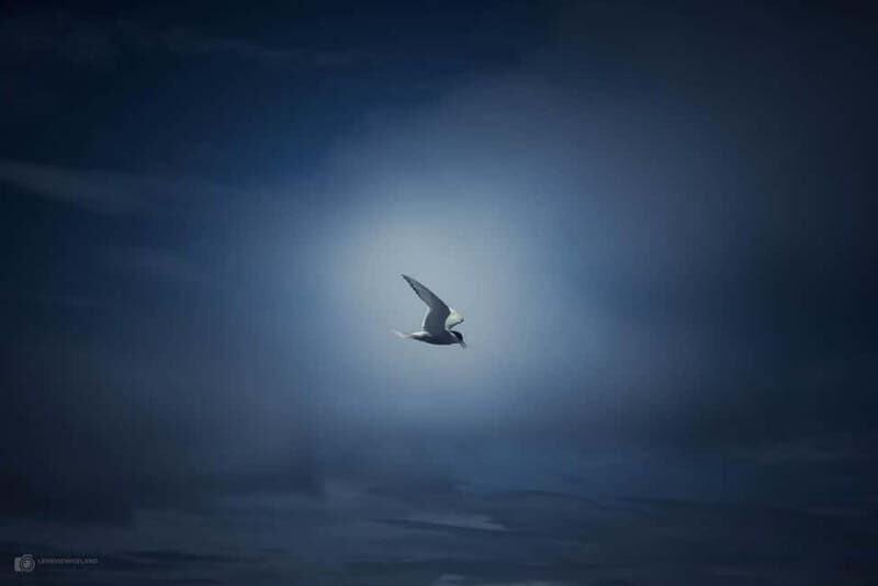 Akureyri: Private Photo tour - Introduction