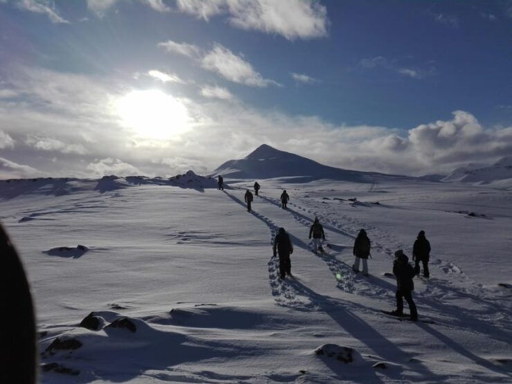 Akureyri: Snowshoeing With the Traveling Viking - Experience Details