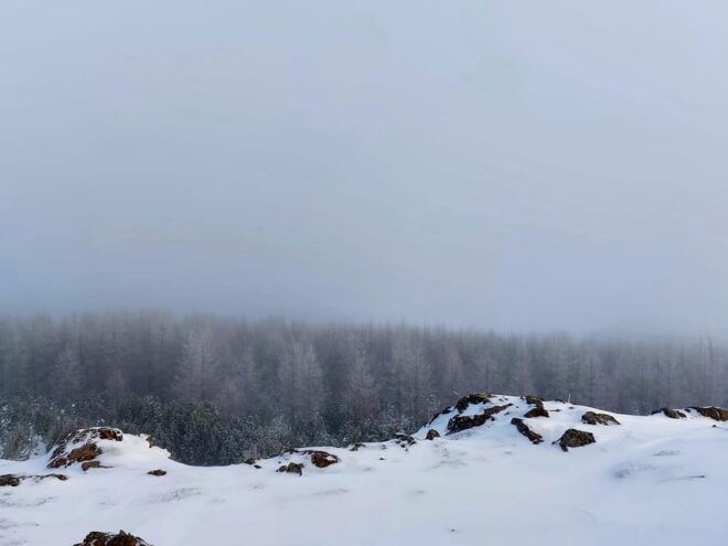 Akureyri: Snowshoeing With the Traveling Viking - Inclusions