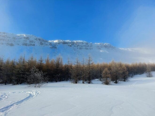 Akureyri: Snowshoeing With the Traveling Viking - Tour Logistics