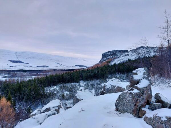Akureyri: Snowshoeing With the Traveling Viking - What to Bring