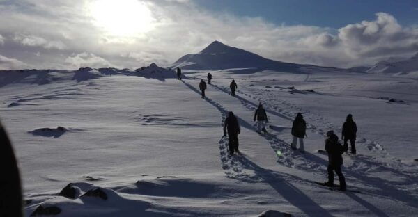 Akureyri: Snowshoeing With the Traveling Viking - Meeting Point and Pickup