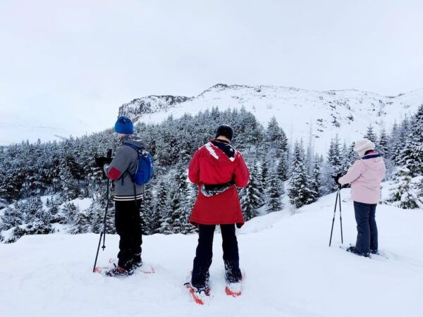 Akureyri: Snowshoeing With the Traveling Viking - Booking and Availability