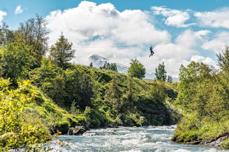Akureyri: Zipline Tour - Experience Highlights