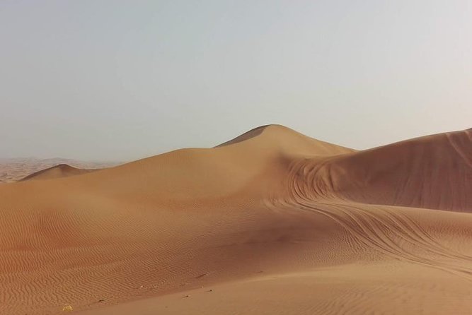 Al Ain City Private Tour With Lunch From Dubai - Inclusions