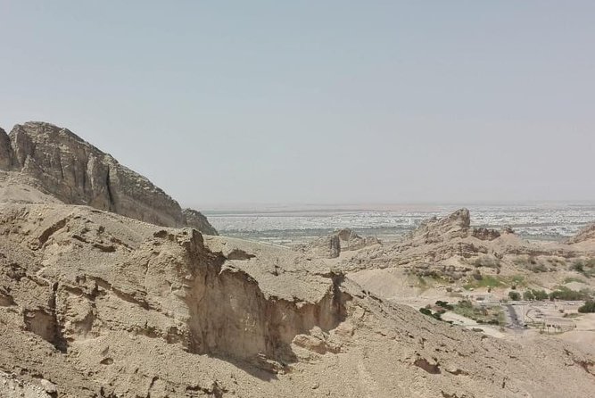 Al Ain City Private Tour With Lunch From Dubai - Reviews