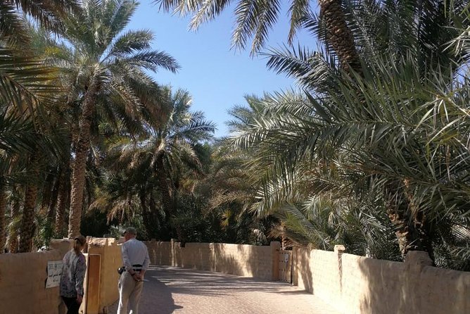 Al Ain City Private Tour With Professional Driver - Highlights of the Al Ain National Museum