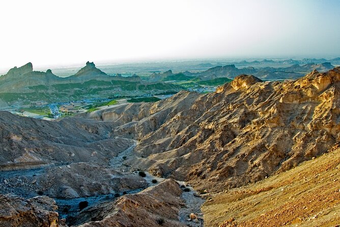 Al Ain City Tour - Overview of Al Ain City Tour