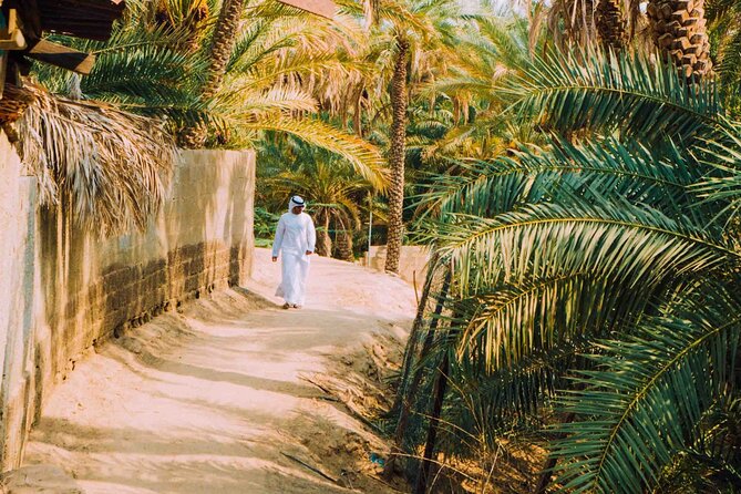 Al Ain City Tour From Dubai - Reviews of the Al Ain City Tour