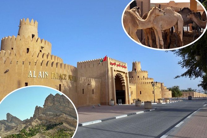 Al Ain City Tour From Dubai (Kids Friendly) - Child-Oriented Attractions and Lush Greenery