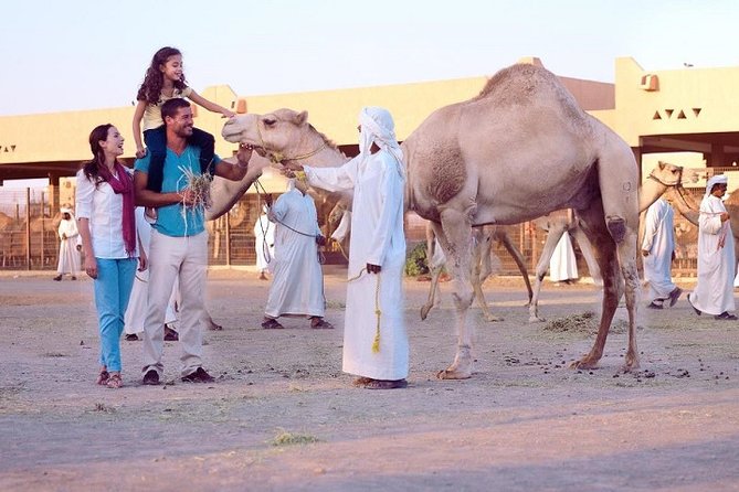 Al Ain City Tour From Dubai (Weddings & Honeymoon) - The Sum Up