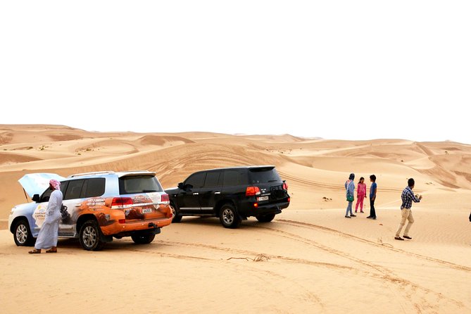 Al Ain Desert Safari With Buffet Dinner - Overview of Al Ain Desert Safari