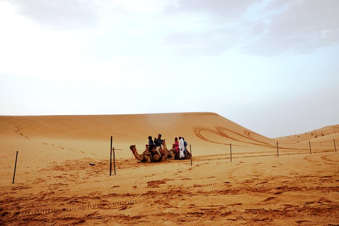 Al Ain Desert Safari With Buffet Dinner - Pricing for the Al Ain Desert Safari