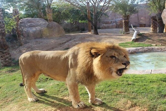 Al Ain Garden City Tour From Dubai - Pricing and Booking Details