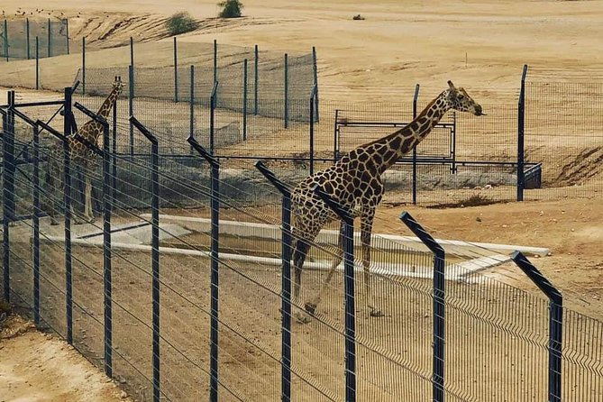 Al Ain Garden City Tour From Dubai - Tour Highlights and Attractions