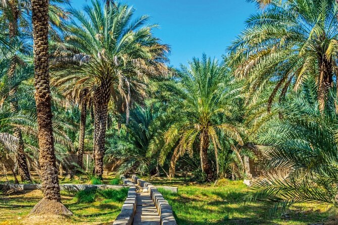 Al Ain Oasis Tour With Pickup and Drop off - Pickup and Drop off Locations