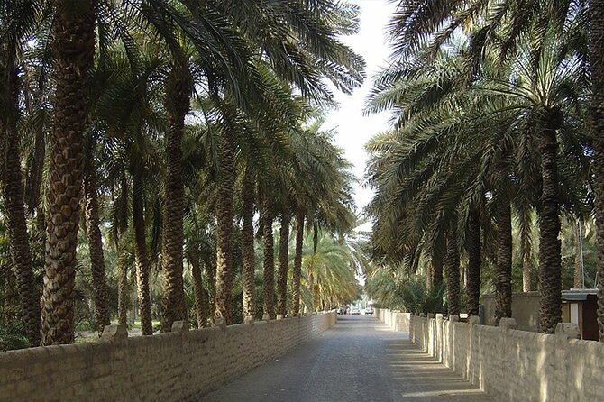 Al Ain Oasis Tour With Pickup and Drop off - Itinerary