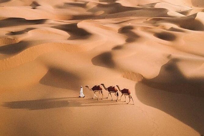 Al Awir Morning Desert Safari Dubai - Cancellation Policy